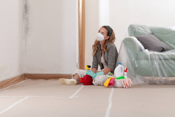 Reliable Black Mold Remediation contractor in Duluth, GA by 24 Hour Mold Removal